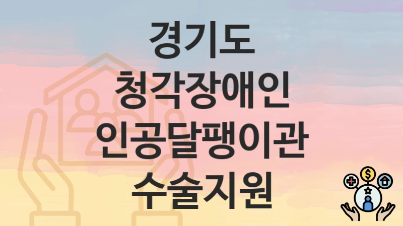 경기도
청각장애인 인공달팽이관 수술지원