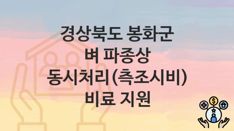경상북도 봉화군
벼 파종상 동시처리(측조시비) 비료 지원