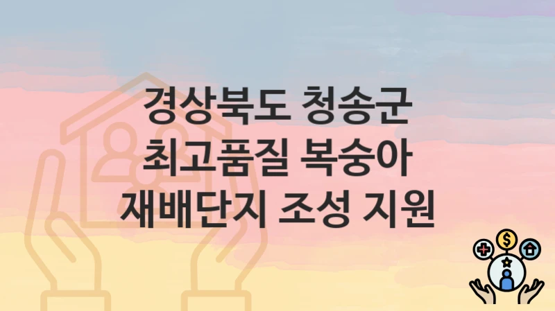 경상북도 청송군
최고품질 복숭아 재배단지 조성 지원