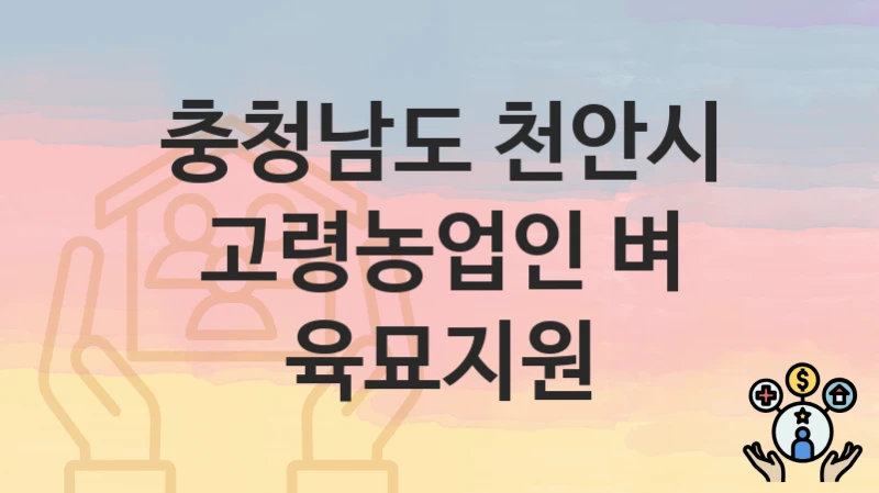 충청남도 천안시 “고령농업인 벼 육묘지원” – 지원 기준과 제출 서류