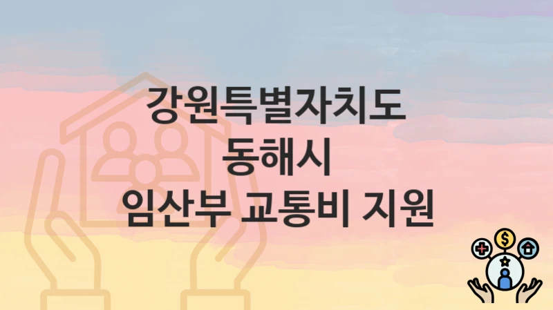 강원특별자치도 동해시
임산부 교통비 지원